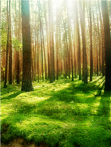 南京市某某贸易有限公司 南京市某某贸易有限公司